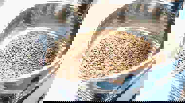 dscf8018.jpg