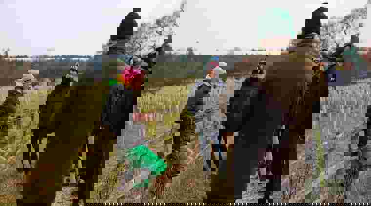 sapling-spirits2.jpg